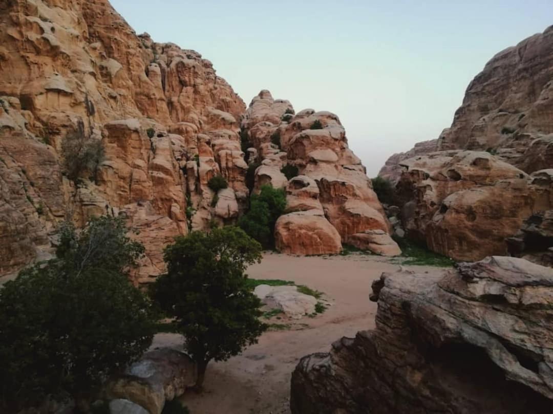 וואדי מוסא Euphoria Guest House מראה חיצוני תמונה